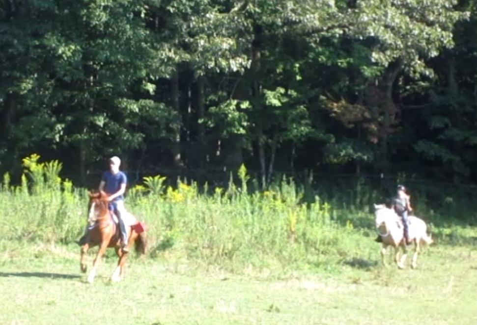 horseback riding near murphy nc